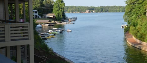 View From Porch