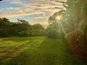 sunrise from the bedroom