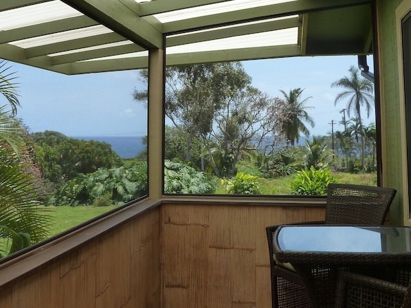 View from screened-in patio