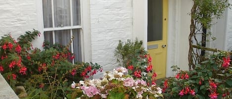 Choughs' small front garden