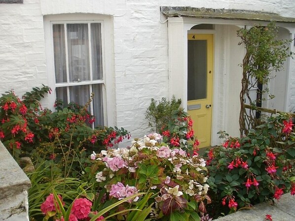 Choughs' small front garden