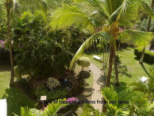 View of gardens and water feature from our lanai.