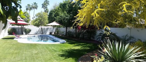 Pool and back yard