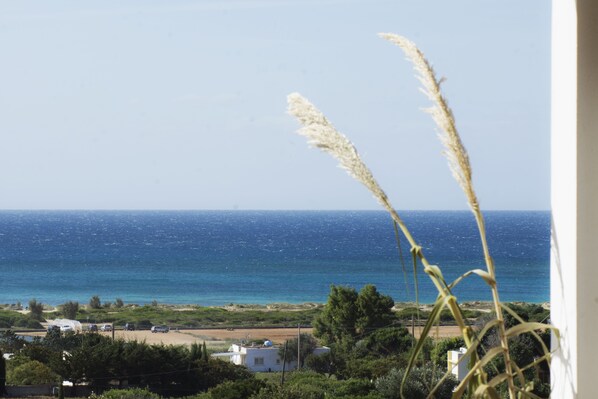 Strand-/Meerblick