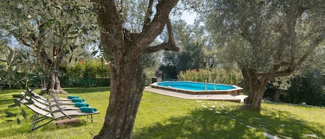 Garden with hundred years old Olive trees