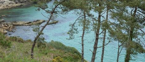 La baie de Douarnenez