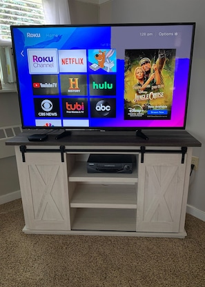 55" TV w/Spectrum & live or on demand, DVD's & nostalgic Disney VHS collection.