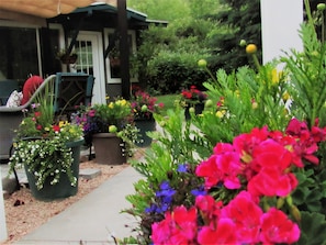 Enchanting entrance to cottage