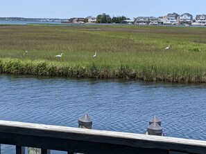 View from property