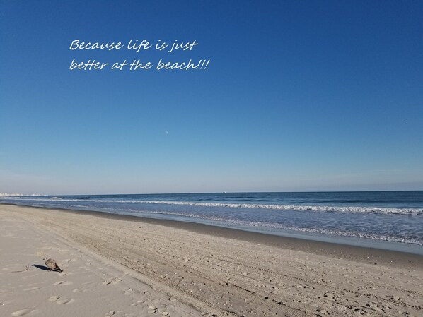Come enjoy tranquility and peace!