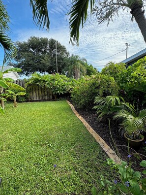 Back Yard July 2024