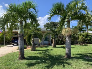 Front Yard