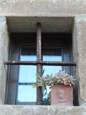 The house