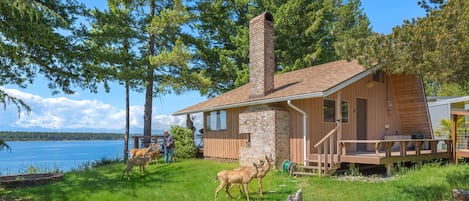 Your cabin awaits. Meet the Herron Island welcoming committee. 