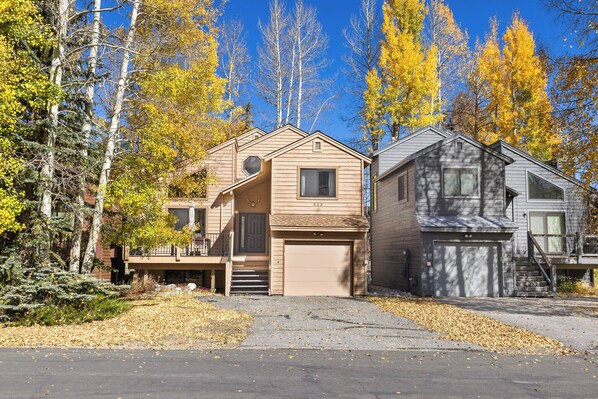 Mountainside 523