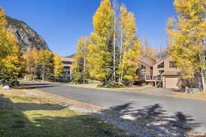Mountainside 523