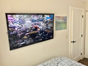 42" LED with Amazon Prime and Google Chromecast.