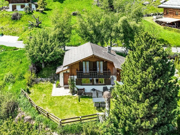 Plant, Property, Building, Window, Natural Landscape, Vegetation, Land Lot, House, Tree, Grass