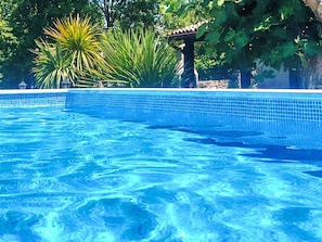 Wasser, Wasservorräte, Blau, Azurblau, Schwimmbad, Natürliche Landschaft, Pflanze, Baum, Rechteck