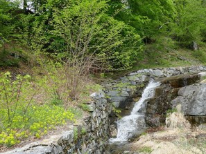 Wasservorräte, Vegetation, Natur, Natürliche Landschaft, Wasserlauf, Wasser, Naturschutzgebiet, Strom, \"Fels, Auwald