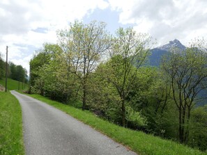 Natürliche Landschaft, Baum, Strasse, Vegetation, Grün, Natürlichen Umgebung, Fahrbahn, Gras, Durchgangsstrasse, Naturschutzgebiet