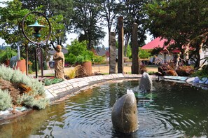 view from the pond edge