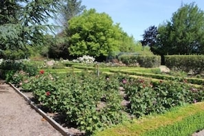 Rose Garden