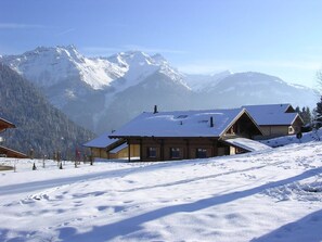 Exteriör