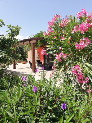 pergola to master bedroom terrace