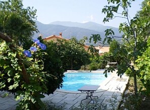 General view of garden towards pool