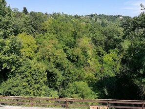 view of woods from the balcony