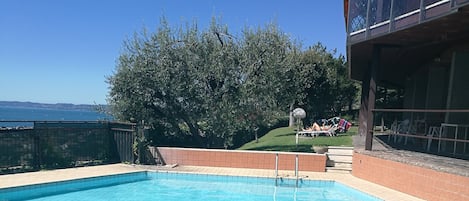 Swimming pool and garden.