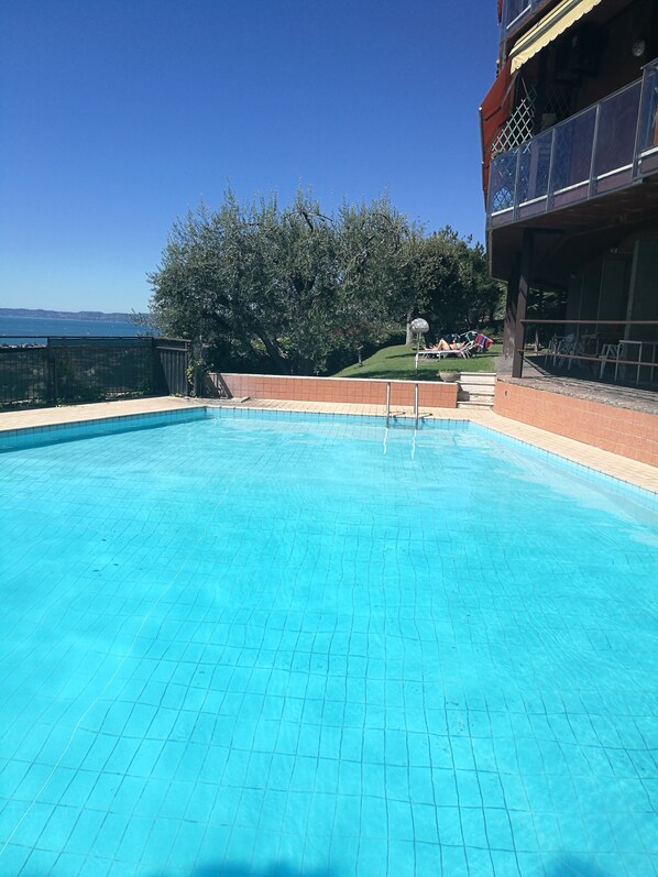 Swimming pool and garden.