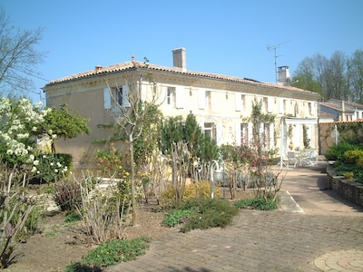 The House in the Vineyards