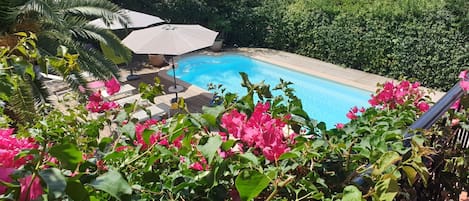 piscine vue de la terrasse 