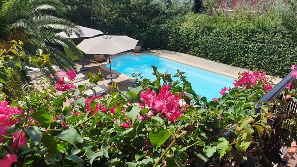 piscine vue de la terrasse 