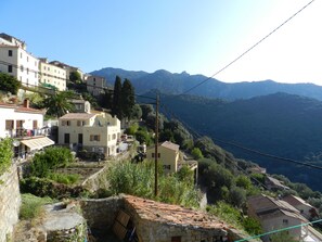 Vista desde la propiedad