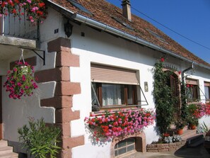 Exterior detail