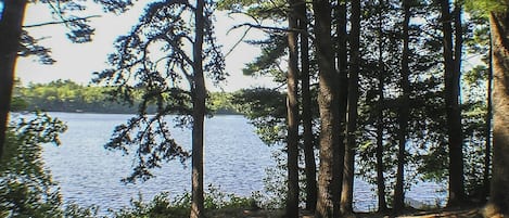 View from cabin, with dock to right