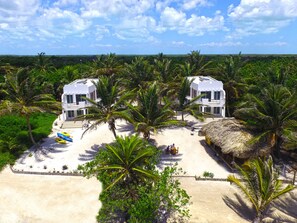 Tropic Setting