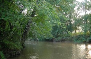 Oklassificerad bild, 5 av 26, knapp
