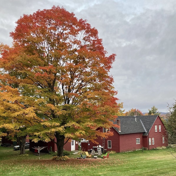 The back of the house showing the lawn and fire pit area