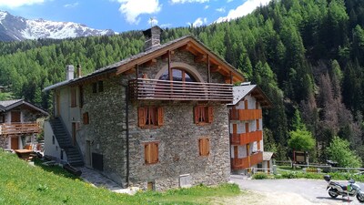 VERY RUSTIC ALPINE