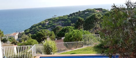 Pool with sea view