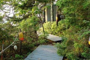 Path to the shore