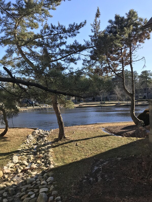Boendeområde