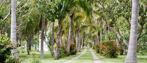 Jardines del alojamiento