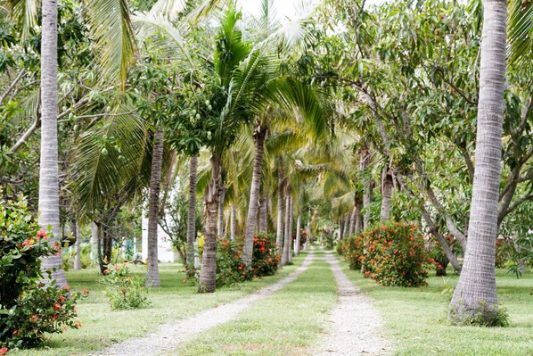 Jardines del alojamiento