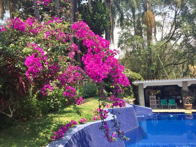 Villa El Nido-Fab Ubicación-Ubicado en exuberante vegetación-ideal 4 parejas-gran piscina