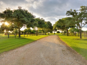 Driveway